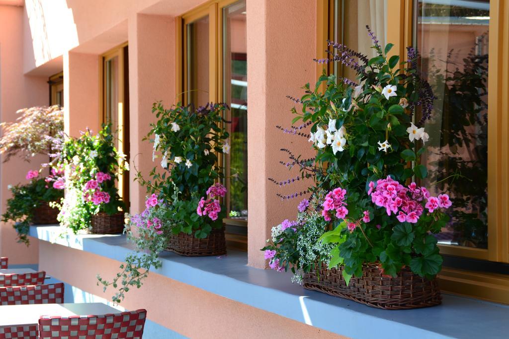 Le Rhien Hôtel-restaurant 3*