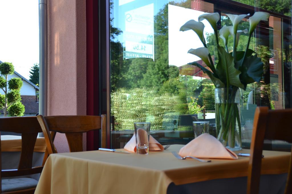 Hotel Le Rhien Hôtel-restaurant